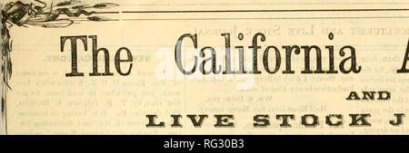 . Californie agriculturist et live stock journal. Agriculture -- Californie ; bétail -- Californie ; l'industrie animale -- Californie. Agriculturist. Veuillez noter que ces images sont extraites de la page numérisée des images qui peuvent avoir été retouchées numériquement pour plus de lisibilité - coloration et l'aspect de ces illustrations ne peut pas parfaitement ressembler à l'œuvre originale.. San Jose Banque D'Images