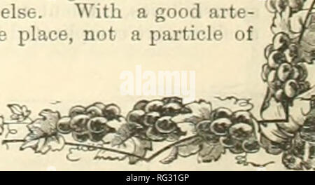 . Californie agriculturist et live stock journal. Agriculture -- Californie ; bétail -- Californie ; l'industrie animale -- Californie. . Veuillez noter que ces images sont extraites de la page numérisée des images qui peuvent avoir été retouchées numériquement pour plus de lisibilité - coloration et l'aspect de ces illustrations ne peut pas parfaitement ressembler à l'œuvre originale.. San Jose Banque D'Images