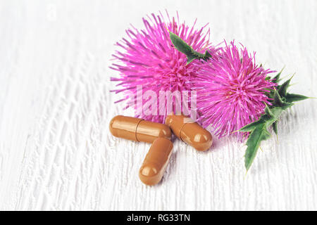 Le chardon marie (silybum marianum) comprimés et de fleurs sur une table en bois blanc (selective focus).Une des utilisations les plus communes de chardon de lait est de traiter li Banque D'Images