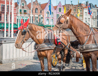 Calèches attendent les touristes à Bruges, Belgique Banque D'Images