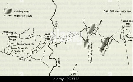 . Chasse et pêche de la Californie. Pêche -- Californie ; jeu et jeu-oiseaux -- Californie ; Poissons -- Californie ; groupes de population animale ; pêches ; gibier, poissons. MIGRATION DE CERF mulet 13 M Zone d'•»- route migratoire Californie Nevada je folle avoine. 2 ml (3.2 km) FIGURE 2. Les caractéristiques géographiques, les routes migratoires, les zones d'attente, et l'hiver s'étend du versant Est Rocky Mountain le cerf mulet estivant dans le bassin du ruisseau McCormick, en Californie. Cerfs méthodes ont été piégés et d'un collier-émetteur sur l'aire d'été dans le bassin de surveiller leur réponse à différents niveaux le pâturage du bétail (Loft, 1988). Clover tra Banque D'Images