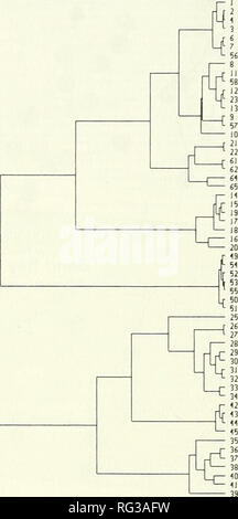 . La Canadian field-naturaliste. 574 Le Canadian Field-Naturalist Vol. 113 DONNÉES GÉOGRAPHIQUES DE REGROUPEMENT UPGMA MONTRANT DES RELATIONS DE L'ONTARIO 57 alvars. Plaine Napanee au nord-est sud-ouest plaine Napanee R. Trent/Bend Bay Plaine plaine de Smiths Falls Jardin Cape Croker La péninsule Bruce La Cloche l'Île Manitoulin Figure 4. Regroupement des alvars UPGMA 57 à partir de la ligne de contact région du sud de l'Ontario d'après les coefficients de distance taxonomique moyenne latitude et longitude données. La corrélation était cophenetic 0,920. En ayant moins de sites avec Carolina Crane's-bill (Geranium carolinianum L Banque D'Images