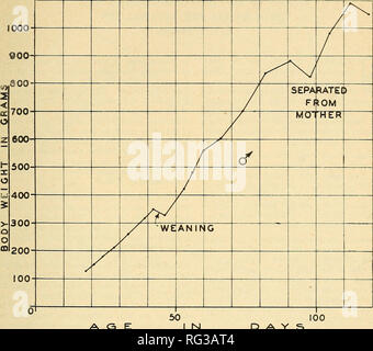 . La Canadian field-naturaliste. Février, 1939] Le Canadian Field-Naturalist 21. AGE D'UNE CROISSANCE DE C V S/N2 MARTRES | Naissance MARS 28,1938 F I G. ^ Prbll Fortpflanzungsbiologie, H. mourir amer- ikanischen Fichtenmarders des Martes ameri- cana Turt. Mourir, Pelztierzucht 4 (4), 1928. Reinhardt, H. Zuchterfolg Steinmarder bei. Die Pelztierzucht, 5 (10), 1929. MuRR, E. Zur Erklarung verlangerten Tragdauer Saugetieren bei der. Zool. Am. 85 (5/8), 1929. Hamilton, J. W., jr. Les belettes, de New York. L'American Midland Naturalist, 14 (4), 1933. I. La plaque de jeunes Martes a. americana (Kerr). Fig. dans A. N Banque D'Images