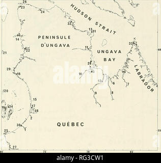 . La Canadian field-naturaliste. 224 Le Canadian Field-Naturalist Vol. 103. La figure 2. La carte du nord du Québec montrant des noms de lieux mentionnés dans le texte ; les noms sont d'Miiller-Wille et Weber (1983) et Miiller-Wille (1987). 1 - La rivière Grande Baleine (Grande rivière de la Baleine) ; 2 - Little Whale River (Petite rivière de la Baleine) ; 3 - Tasiujaq (Leaf Bay ; baie aux Feuilles) ; 4 - Kangiqsualujjuaq (George River, Port- Nouveau-Quebec) ; 5 - Akulivik (Cape Smith) ; 6 - (rivière Marralik Mucalic) ; 7 - Kangirsualujjuap Kuunga (George) River (Rivière George) ; 8 - Ungunniavik (baleine) River (rivière a la Ba Banque D'Images