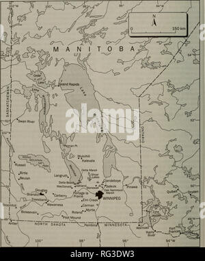 . La Canadian field-naturaliste. L'histoire naturelle. La Canadian Field-Naturalist Vol. 116. La figure 1. Collectivités mentionnées au Manitoba. présent. En 1915 George Lang rapporté de grands troupeaux de Tétras des prairies à Indian Head, environ la moitié en cours de Tétras des prairies ou d'hybrides (la seule mention de l'hybridation situé dans le jeu de la Saskatchewan). À Indian Head dans l'hiver de 1916-1917, ils étaient suffisamment commun que George Lang, jeu volontaire guardian, a observé sept oiseaux morts dans un rayon d'un mille ; ils avaient été tués en volant dans les fils téléphoniques (Bradshaw 1917). Ils apparaissent Banque D'Images