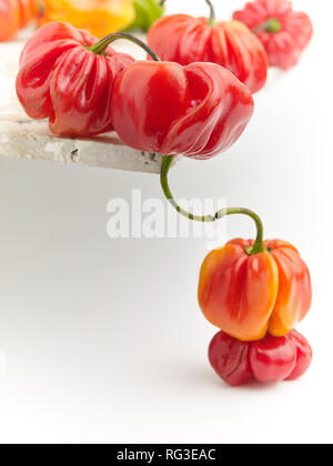 Les piments scotch bonnet coloré sur un fond blanc, de l'alimentation toujours-vie photographie Banque D'Images