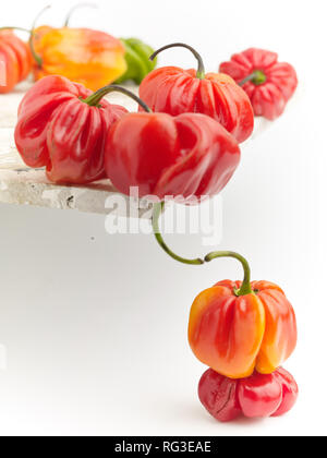 Les piments scotch bonnet coloré sur un fond blanc, de l'alimentation toujours-vie photographie Banque D'Images