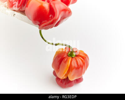 Poivre Scotch Bonnet tacheté et surface en marbre contre fond clair. Photographie alimentaire Banque D'Images