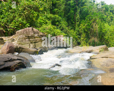 L'eau se précipiter dans la rivière et forêt nationale de El Yunque. Banque D'Images