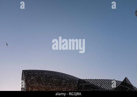 Frank Gehry en acier inoxydable d'or de Sculpture de poisson sur le front de mer de Barcelone Barcelone Espagne Banque D'Images