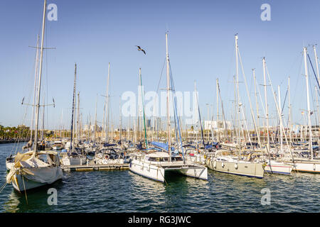 Voiliers amarrés à la marina à Barcelone par un beau jour de printemps Banque D'Images