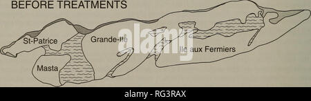 . La Canadian field-naturaliste. L'histoire naturelle. 168 Le Canadian Field-Naturalist Vol. 117 canards nicheurs. L'objectif de cette étude était d'évaluer les effets à court terme d'améliorer la couverture végétale sur l'abondance des oiseaux chanteurs des prairies qui nichent au sol. La zone d'étude 115-ha archipel de Varennes (45° 40' N, 73° 27' W) est situé à 20 km au nord-est de Montréal (Canada) le long du fleuve Saint-Laurent. Il est composé de quatre îles d'une superficie allant de 9,4 à 59,8 ha (figure 1). Avant de couvrir les améliorations, les espèces végétales dominantes de ces îles ont été vesce jargeau (Vicia cracca), l'agrostide blanche (Agros Banque D'Images