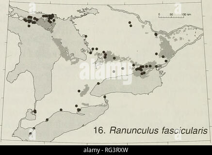 . La Canadian field-naturaliste. L'histoire naturelle. Figures 13-16. Les distributions des plantes vasculaires dans le sud de l'Ontario (basé sur des spécimens d'herbier) par rapport à la chaux- plaines en pierre (en grisé). 13. Gewn triflorum. 14. Bouteloua curtipendiila. 15. Crawei Carex. 16. Ranunculus fascicu- laris. creux comme suggéré par le sud de l'Ontario leurs distri- butions. Geranium carolinianum (Figure 17), Draba reptans (Figure 22), et Myosotis verna (Figure 18) se développent sur sandy flats et volets ainsi que sur les alvars. Une alternative moins fréquente est l'habitat de falaises, particu- lièrement de la dolomite et de marbre, qui sont les Banque D'Images