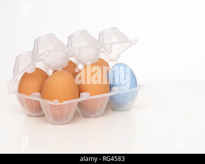 Individualité, originalité, différence ou concept de diversité. Un beau bleu dans l'oeuf alvéole de plastique avec du brun. Sur fond blanc. Banque D'Images