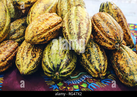 Gros plan du tas de cabosses de cacao frais, Theobroma cacao. Street marché des fruits tropicaux, la récolte de nourriture exotique concept. Banque D'Images