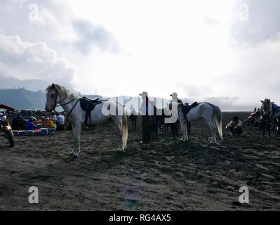 Les Indonésiens dans le Parc National de Bromo Tengger Semeru Banque D'Images