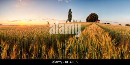 Sunset over wheat field with path and chapel in Slovakia - panorama Banque D'Images