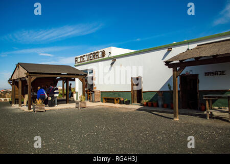 La Finca Canarias Aloe Vera Garden Center à Fuerteventura, Îles Canaries Banque D'Images