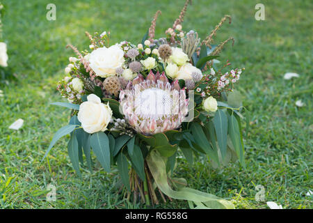 Rustique magnifique bouquet de protea et d'autres fleurs et d'herbes Banque D'Images