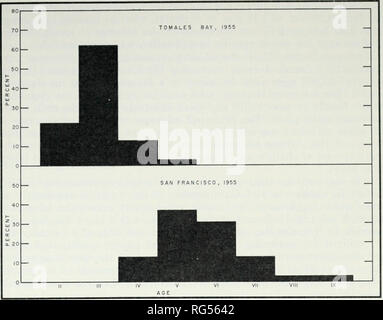 . Chasse et pêche de la Californie. Pêche -- Californie ; jeu et jeu-oiseaux -- Californie ; Poissons -- Californie ; groupes de population animale ; pêches ; gibier, poissons. Études de hareng du pacifique 169. La figure 5. Composition par âge de la baie Tomales et San Francisco Bay hareng commerciale en 1955. deux ans dans les prises commerciales de poissons au large de l'île de Vancouver en 1946- 1951, avec les trois et quatre ans plus abondants. (La pêche au large de Vancouver est menée dans les mois précédant immédiatement la période de fraye.) Les données de la Californie suggèrent que le hareng en Californie mûrir plus tôt un Banque D'Images