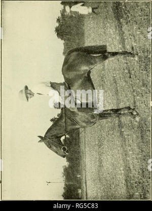 . Paperchasing Calcutta records. Les chevaux, Steeplechasing -- l'Inde ; la chasse au renard -- l'Inde. . Veuillez noter que ces images sont extraites de la page numérisée des images qui peuvent avoir été retouchées numériquement pour plus de lisibilité - coloration et l'aspect de ces illustrations ne peut pas parfaitement ressembler à l'œuvre originale.. Sabretache, b. 1867. Calcutta : Thacker, Spink Banque D'Images