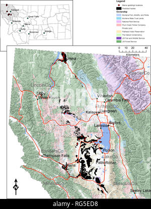 . Stratégie de conservation du Silene spaldingii (Spalding de Scouler) dans le Montana . Botanique ; plantes rares ; Silene spaldingii. #  La légende de Silene spaldingii endroits | prédit la propriété de l'habitat du poisson, de la faune, du Montana et de l'État de Montana Parcs Trust Lands National Park Service Plum Creek Timber Company les terres privées à la réserve indienne de Flathead The Nature Conservancy | US Fish and Wildlife Service SI US Forest Service. 0 10 20 40 I I I I I I I { 1 ) fk*.- M l^ssoiJlaG( m esf eley Lake Figure 35. Résultats de modélisation prédictive pour l'habitat Le Silene spaldingii en utilisant la géologie, les sols, l'STATSGO precipitat annuel Banque D'Images