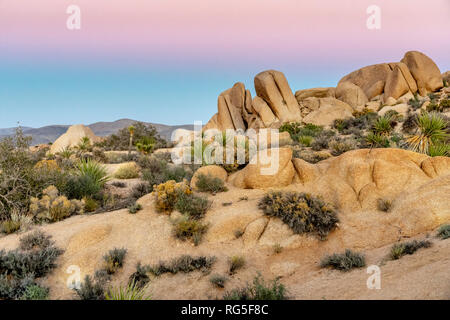 Joshua Tree National Park en Californie du sud-est au cours du mois de novembre Banque D'Images