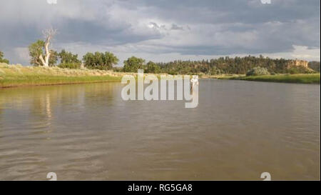 . Enquêtes aquatiques et une nouvelle évaluation de sites dans la région du bassin hydrographique de la rivière de la poudre. L'écologie aquatique, la biologie aquatique, d'invertébrés ; d'Éphémères ; le méthane. Moorhead station de jaugeage pour ces calculs. La sommation des différentes espèces de poissons et des métriques de tolérance varient entre 0 et 100. Bramblett et al. (2005) n'a pas proposé des critères de seuil pour de bon, juste, et les pauvres l'intégrité biologique de ces scores, mais reposait plutôt sur des comparaisons à "référence" l'état des scores. Par conséquent, nous avons suivi Confluence Consulting (2004) en appliquant des méthodes de 75 critères couramment utilisés Banque D'Images