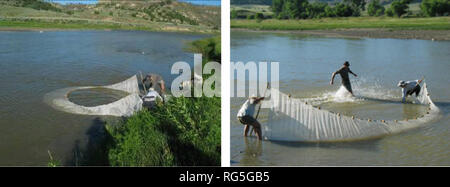 . Enquêtes aquatiques et une nouvelle évaluation de sites dans la région du bassin hydrographique de la rivière de la poudre. L'écologie aquatique, la biologie aquatique, d'invertébrés ; d'Éphémères ; le méthane. Des communautés aquatiques (poissons et des macro-invertébrés) et les zones riveraines ont été inventoriés et évalués à l'aide d'une combinaison de Montana Fish, Wildlife and Parks (MFWP) (poisson) et BLM et l'EPA (macroinvertébrés et les évaluations de l'habitat) et la méthodologie des protocoles. Ces méthodes reproduit ceux utilisés au cours de nos visites juillet 2005 au cours d'eau à 500 pi3/s (enregistré à la station de jaugeage Moorhead USGS). Atteindre les longueurs ont été fixés à un Banque D'Images