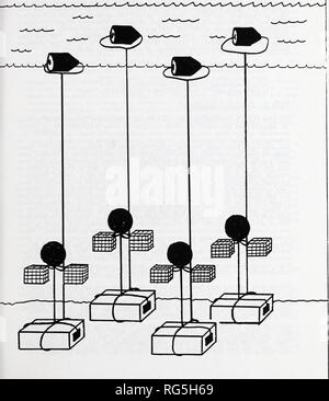 . Buzzards Bay moules en cage, étude de biosurveillance pilote 1987-1988. La gestion des zones côtières ; les moules. FIGURE 2 BUZZARDS BAY MOULES EN CAGE Étude de biosurveillance pilote Oct.l987-Sept.Station 1988 Description : 4 répétitions par station, 2 cages par répétition, 25 200 moules par cage, zébrée par station. Veuillez noter que ces images sont extraites de la page numérisée des images qui peuvent avoir été retouchées numériquement pour plus de lisibilité - coloration et l'aspect de ces illustrations ne peut pas parfaitement ressembler à l'œuvre originale.. Duerring, Christine L ; Massachusetts. Division du contrôle de la pollution de l'eau. Technica Banque D'Images