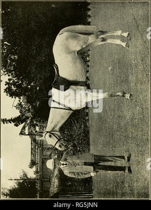 . Paperchasing Calcutta records. Les chevaux, Steeplechasing -- l'Inde ; la chasse au renard -- l'Inde. u c c o. Veuillez noter que ces images sont extraites de la page numérisée des images qui peuvent avoir été retouchées numériquement pour plus de lisibilité - coloration et l'aspect de ces illustrations ne peut pas parfaitement ressembler à l'œuvre originale.. Sabretache, b. 1867. Calcutta : Thacker, Spink Banque D'Images