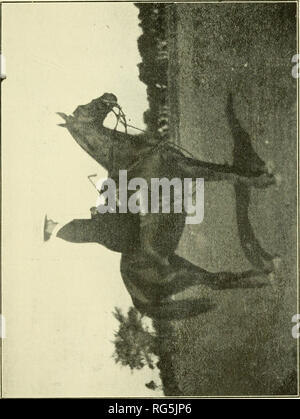 . Paperchasing Calcutta records. Les chevaux, Steeplechasing -- l'Inde ; la chasse au renard -- l'Inde. o. Veuillez noter que ces images sont extraites de la page numérisée des images qui peuvent avoir été retouchées numériquement pour plus de lisibilité - coloration et l'aspect de ces illustrations ne peut pas parfaitement ressembler à l'œuvre originale.. Sabretache, b. 1867. Calcutta : Thacker, Spink Banque D'Images