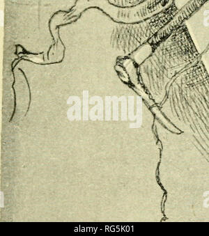 . Paperchasing Calcutta records. Les chevaux, Steeplechasing -- l'Inde ; la chasse au renard -- l'Inde. J'^^ j .k4- Â"fe* â…&gt ;^. .&Gt ;^ ' u&gt ; -^^^ff p o^ .^ . ^^ ? f a i^" -Â"t/*"^ G ?i liÂ"/^- .-^^^ j ' â' ' ^^^ Paperchase Menu Dîner, 1892.. Veuillez noter que ces images sont extraites de la page numérisée des images qui peuvent avoir été retouchées numériquement pour plus de lisibilité - coloration et l'aspect de ces illustrations ne peut pas parfaitement ressembler à l'œuvre originale.. Sabretache, b. 1867. Calcutta : Thacker, Spink Banque D'Images