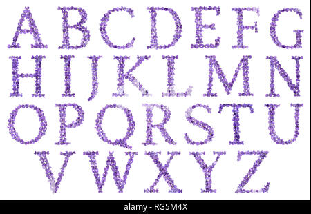 Ensemble de lettres de l'alphabet anglais à partir de fleurs naturelles de violette, isolé sur fond blanc Banque D'Images