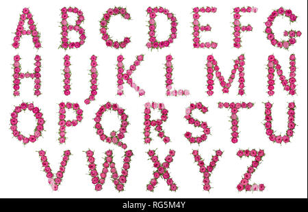 Ensemble de lettres de l'alphabet anglais rouge naturel de fleurs roses, isolé sur fond blanc Banque D'Images
