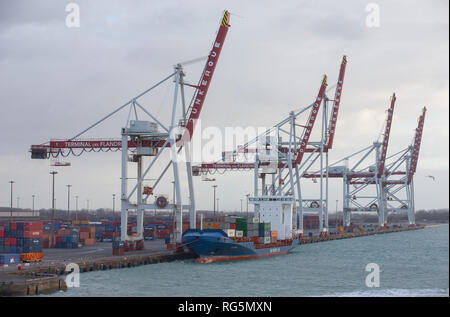 Le porte-conteneurs Aldebaran J accosté au terminal des flandres chargé avec des conteneurs de transport, Dunkerque, France. Banque D'Images