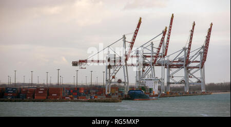 Le porte-conteneurs Aldebaran J accosté au terminal des flandres chargé avec des conteneurs de transport, Dunkerque, France. Banque D'Images