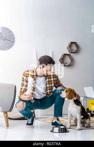 Handsome man holding paquet avec chien nourriture et alimentation chien beagle à la maison Banque D'Images