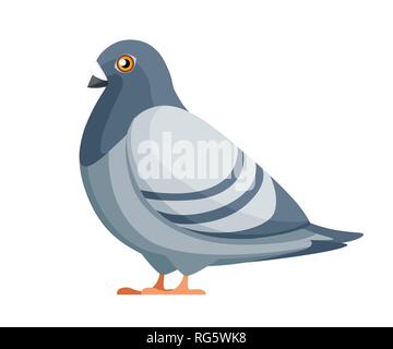 Oiseau Pigeon assis. Télévision cartoon character design. L'icône d'oiseaux colorés. Pigeon mignon modèle. Vector illustration isolé sur fond blanc. Illustration de Vecteur