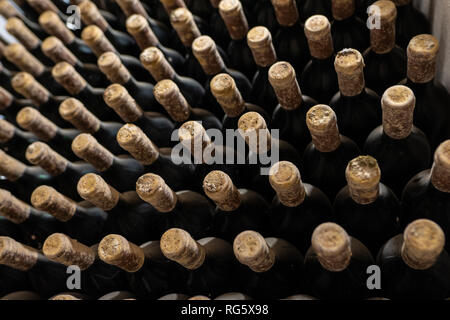 Des bouteilles de vin Vintage couvert de moisissure dans un vignoble en République de Moldova Banque D'Images