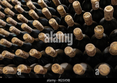 Des bouteilles de vin Vintage couvert de moisissure dans un vignoble en République de Moldova Banque D'Images