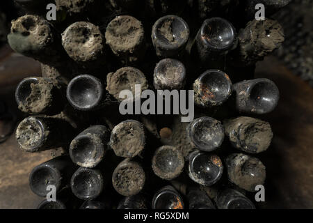 Les bouteilles de vin de vieillissement couvert de poussière et de la moisissure Banque D'Images