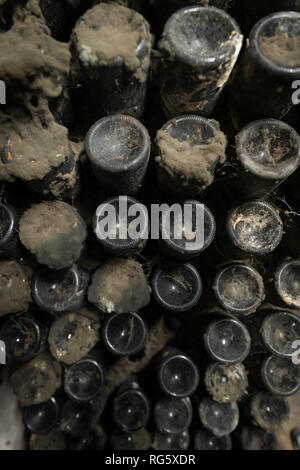 Détail de bouteilles de vin couvert de poussière le vieillissement en cave à vin Banque D'Images