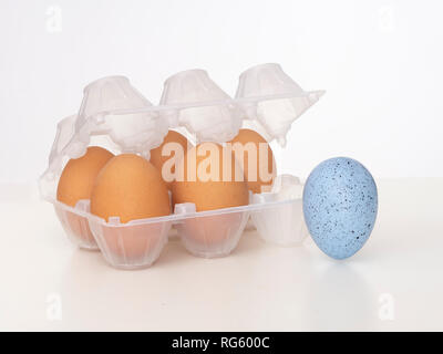 Individualité, originalité, différence ou de la diversité. Un bel œuf bleu près de l'alvéole de plastique avec du brun. Sur blanc. Osez être différent Banque D'Images