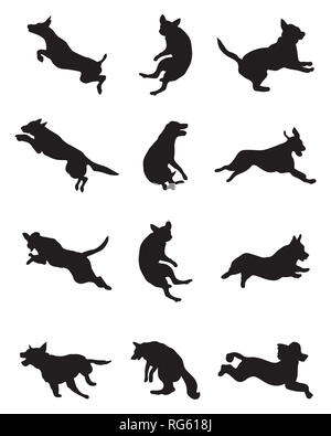 Silhouettes noires des chiens dans un saut sur un fond blanc Banque D'Images