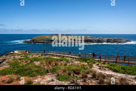 Vue panoramique du Cap du Couedic avec Casuarina d'îlots et de Boardwalk à arch admirable sur l'île kangourou en Australie SA Banque D'Images