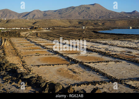 Salinas del Janubio, Lanzarote, Kanarische Inseln, Spanien, Europa Banque D'Images