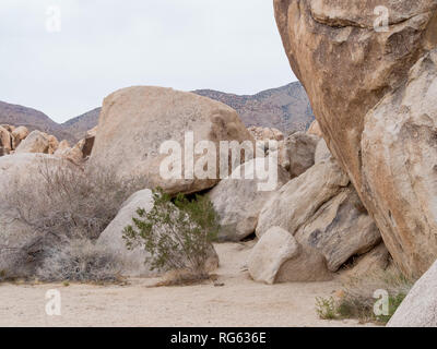 D'énormes rochers dans le parc national de Joshua Tree à la California, United States Banque D'Images