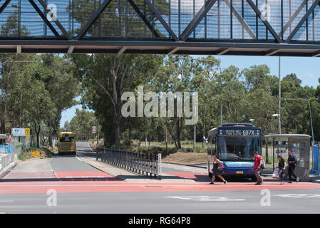 Deux Nouvelles Galles du Sud les bus passant sous une nouvelle passerelle pour piétons à la Riley T-bus s'arrêter dans la banlieue de Sydney, NSW Australie Kellyville Banque D'Images
