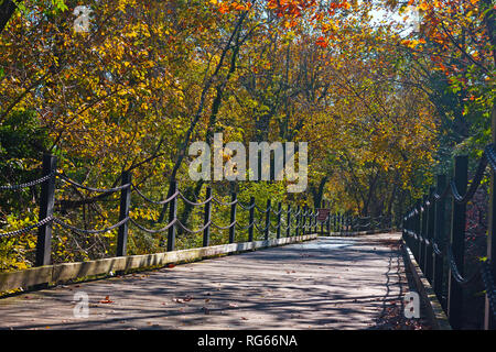 Une piste cyclable et piétonnière le long du fleuve Potomac à Arlington, VA, USA. Parmi les sentiers des arbres feuillus un matin ensoleillé d'automne. Banque D'Images